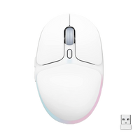 Wireless Gaming Mouse