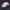 ###Light Pink