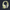 ###Pale Lime