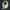 ###Pale Lime